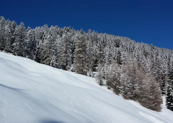 哈登斯塔特假日公寓