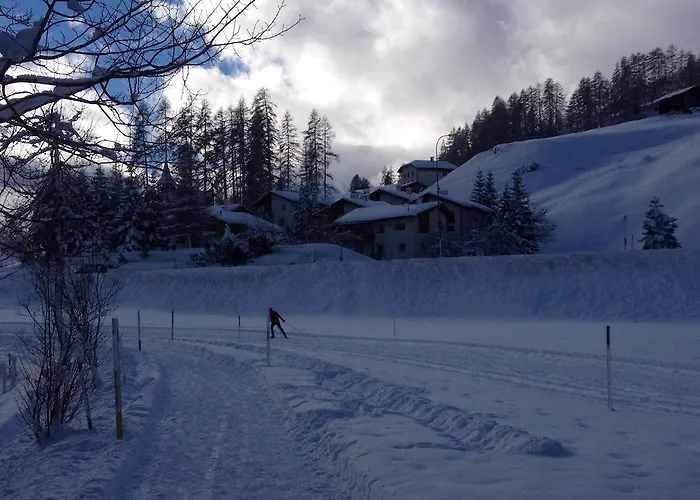 哈登斯塔特假日公寓 达沃斯