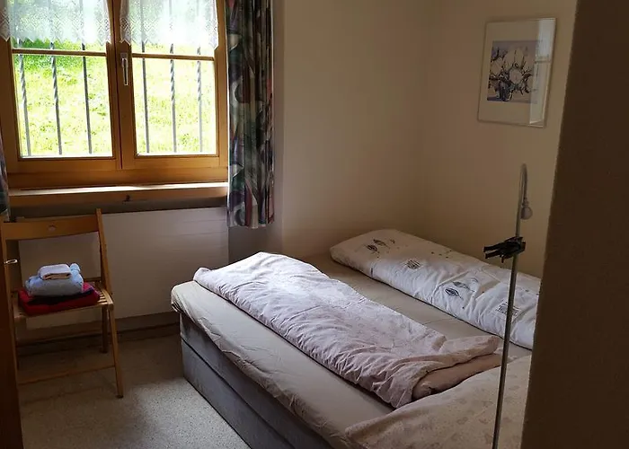 哈登斯塔特假日公寓 达沃斯